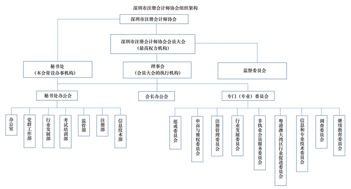 深注协组织架构图最终版_00.png